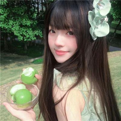 一棵树的纠纷
